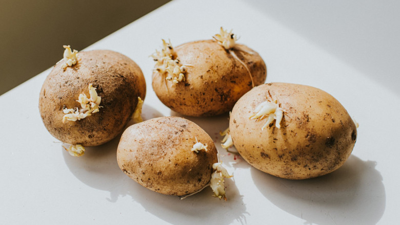 2 μήνες προσδόκιμο ζωής για όσους καταναλώσουν πατάτες με φύτρες