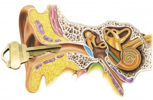 ear