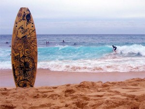 hawaii-surfers