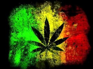img_4019_carmelo-faya-man-and-smoke-marijuana