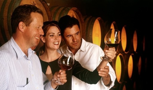 bg-cdv-catadevino