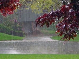 Rain-Falling-Background-570x427