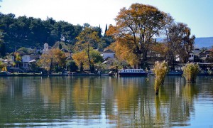 DSC_8234-1-@=1