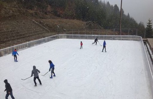 hockey
