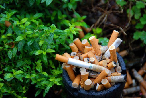 cigarette_butts_flickr_leonard_matthews
