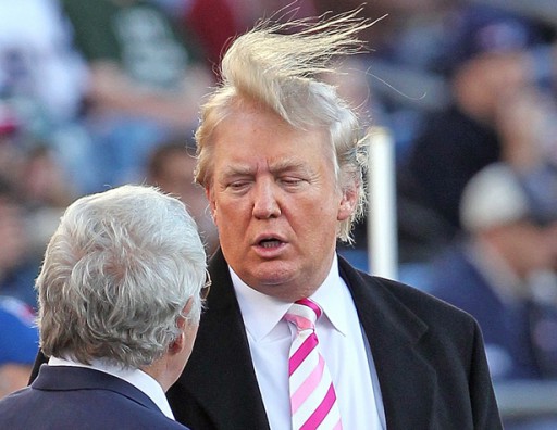 2016-06-21-1466537485-4692882-trumphair