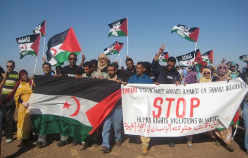 wsahara2