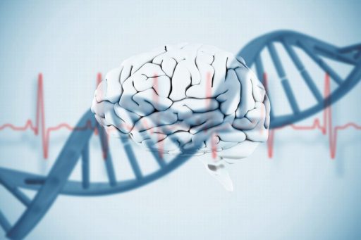 brain_genes