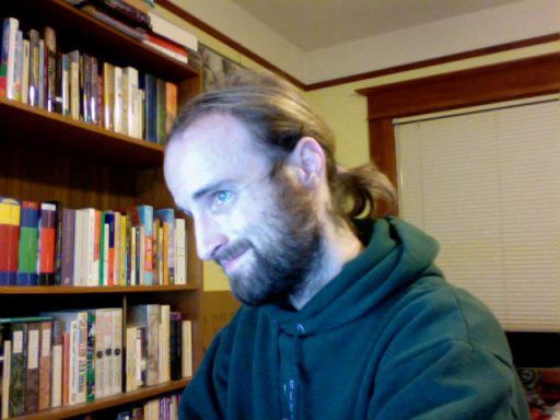 ponytail