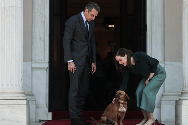Ερωτευμένος αισθάνεται για πρώτη φορά στη ζωή του ο Πίνατ, πηγές επιβεβαιώνουν